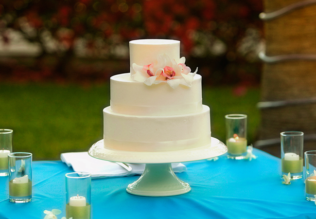  - cabo-wedding-cake2