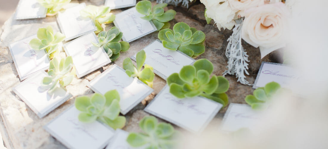Green succulents with white and silver name cards for Cabo Wedding Services